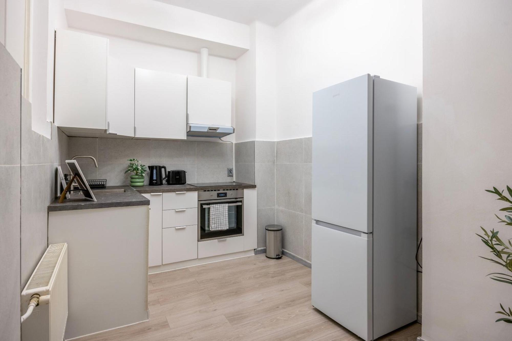 Apartament Spacious 4 Bdr, 4 Bthr In The Center Of Budapesta